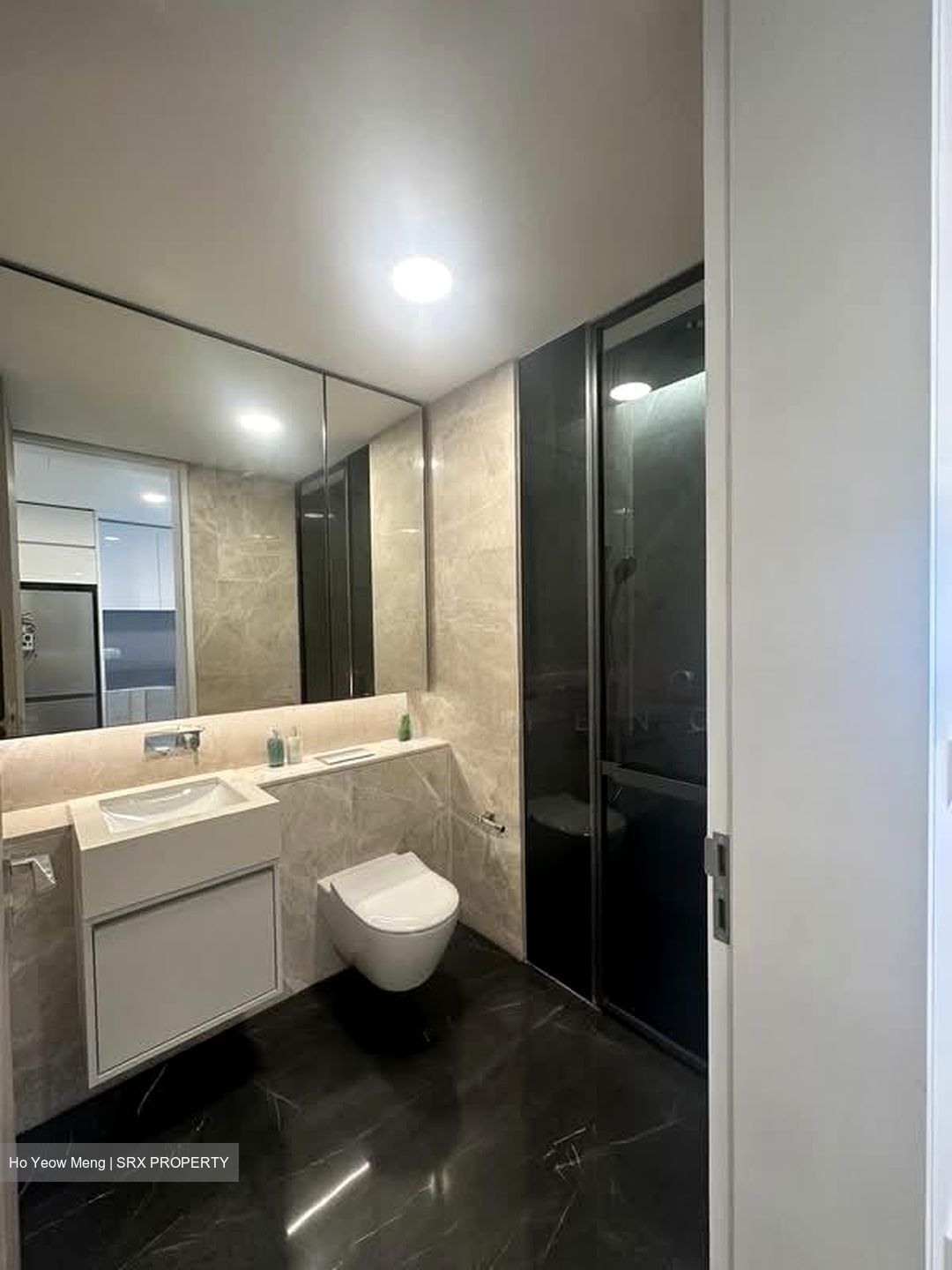 Amber Park (D15), Condominium #560345851